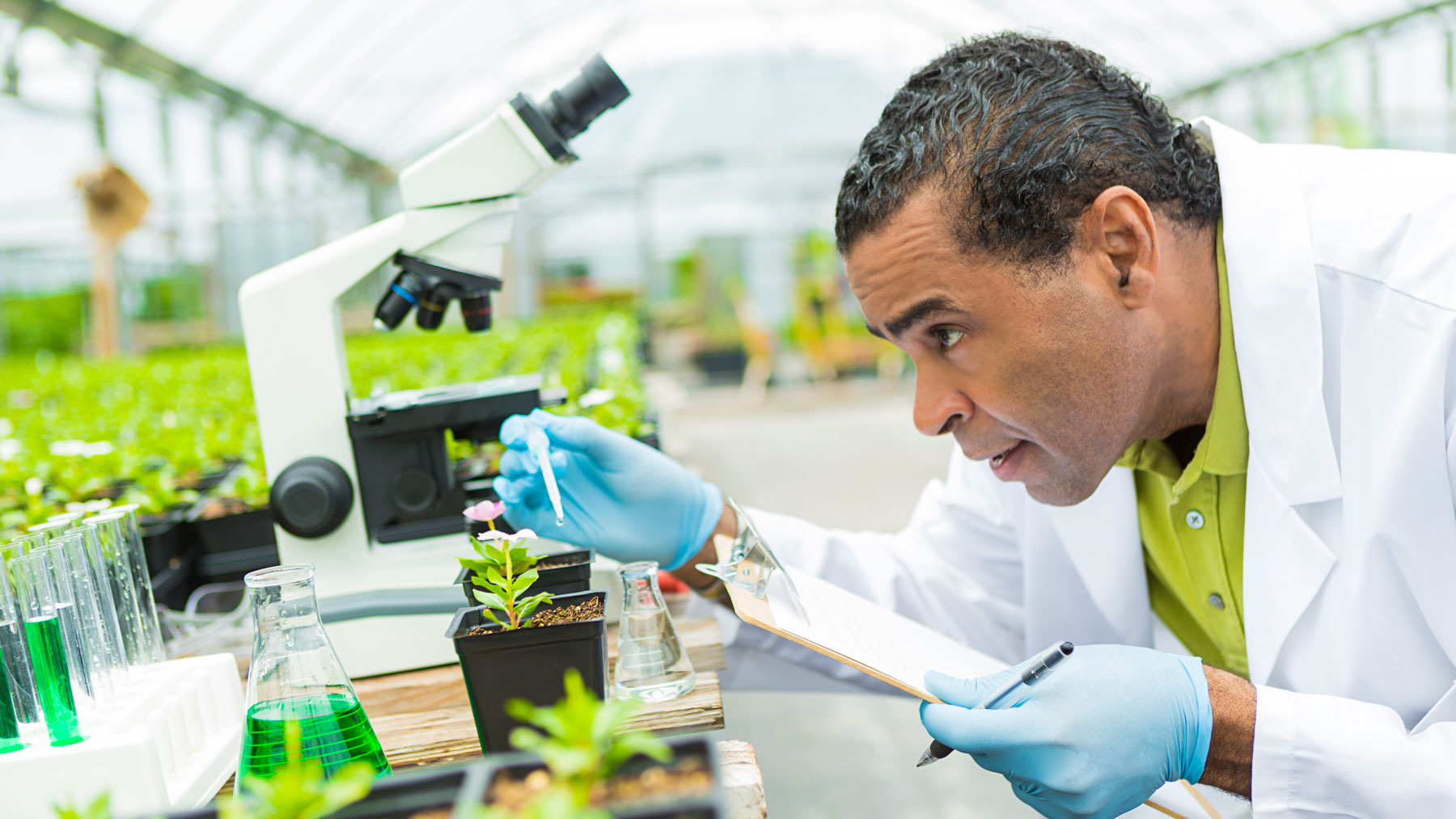 Life Sciences